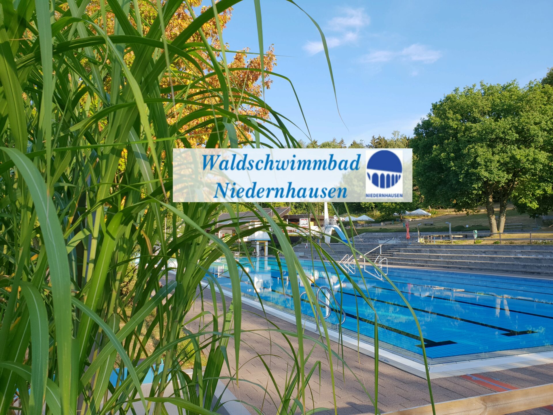 Waldschwimmbad Niedernhausen